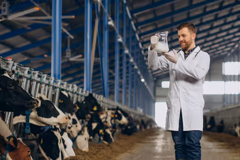 Dairy Industry Explained: Production, Processing, Supply Chain, and Future Trends