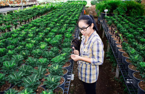 A Guide to the Basics and Importance of Smart Farming Tools in Modern Agriculture