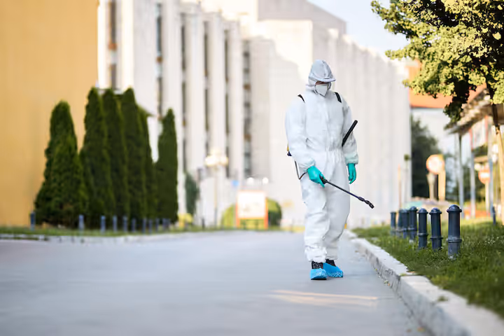 Pest Control Services: A Complete Guide to Protecting Your Home